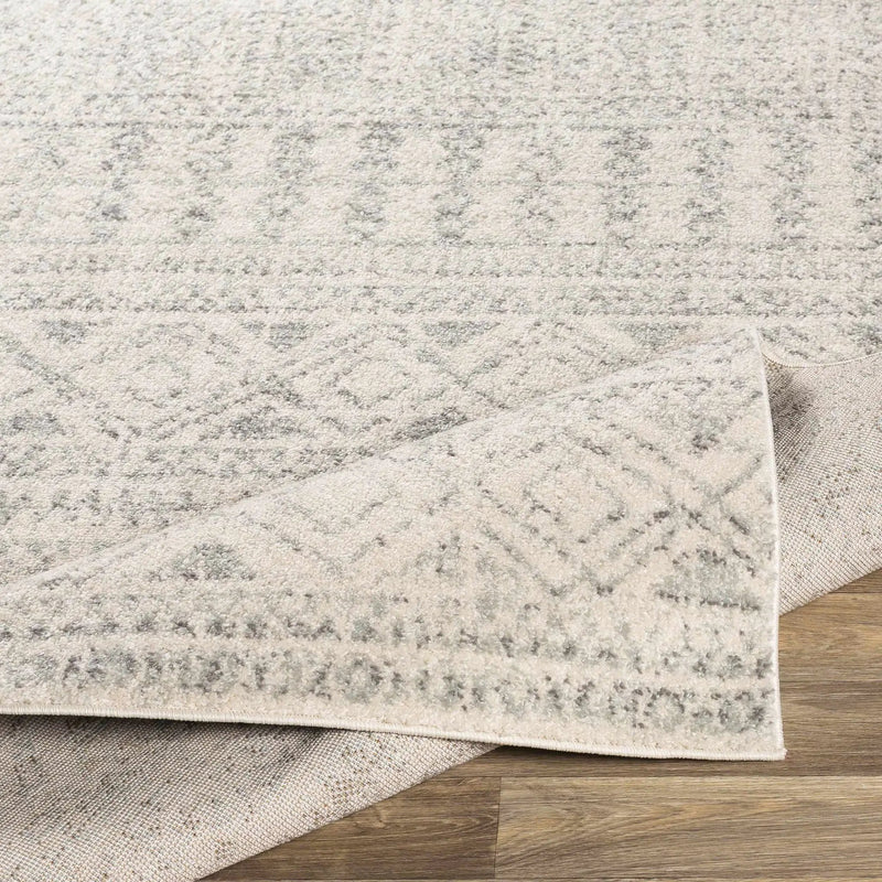 Zarephath Area Rug by Boutique Rugs