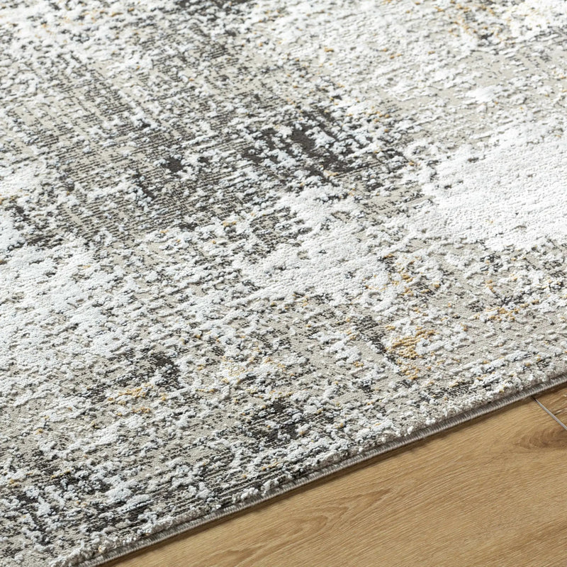 Zasha Area Rug by Boutique Rugs