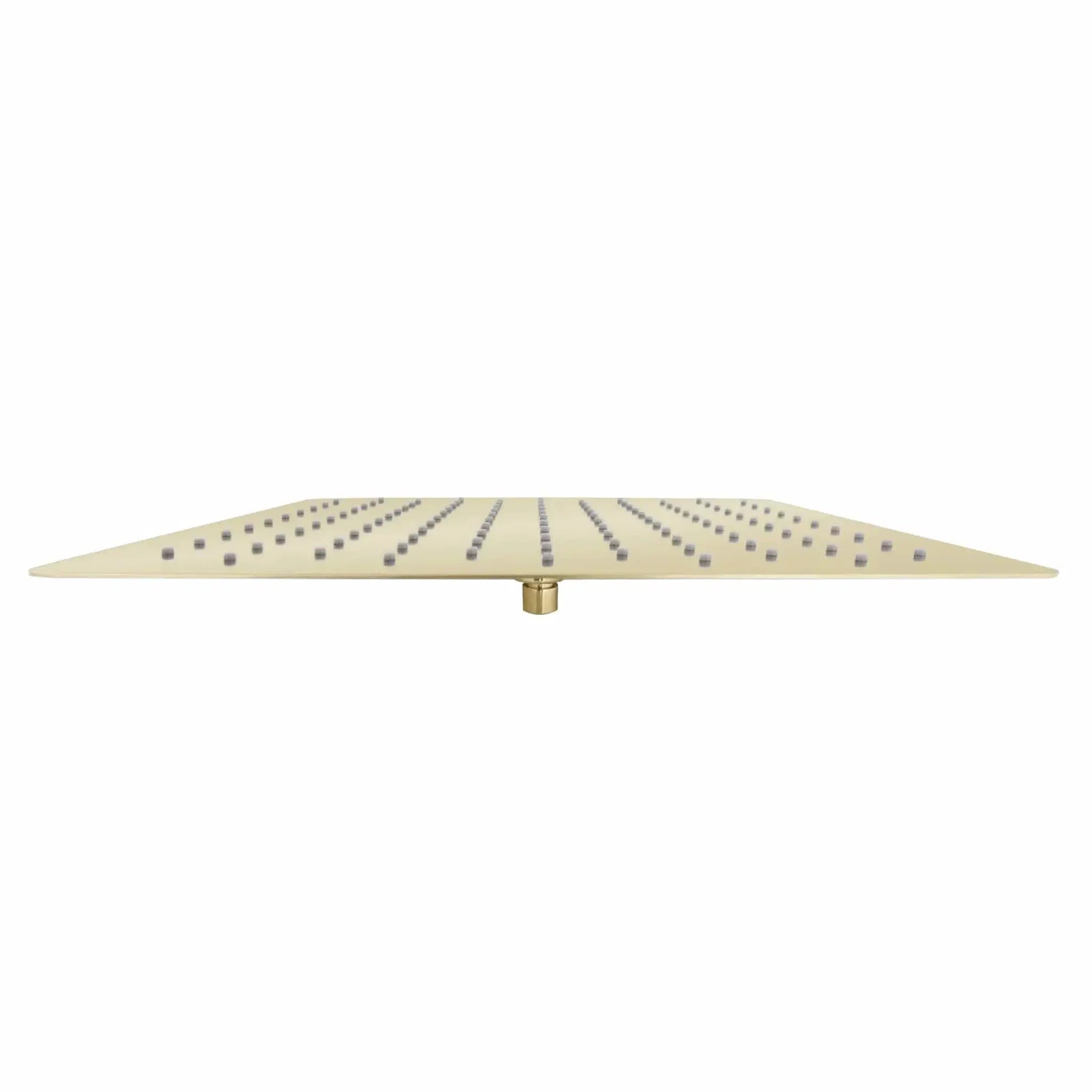 ZLINE 16" Bliss Shower Head BLS-H16-PG by Farmhouse Kitchen and Bath