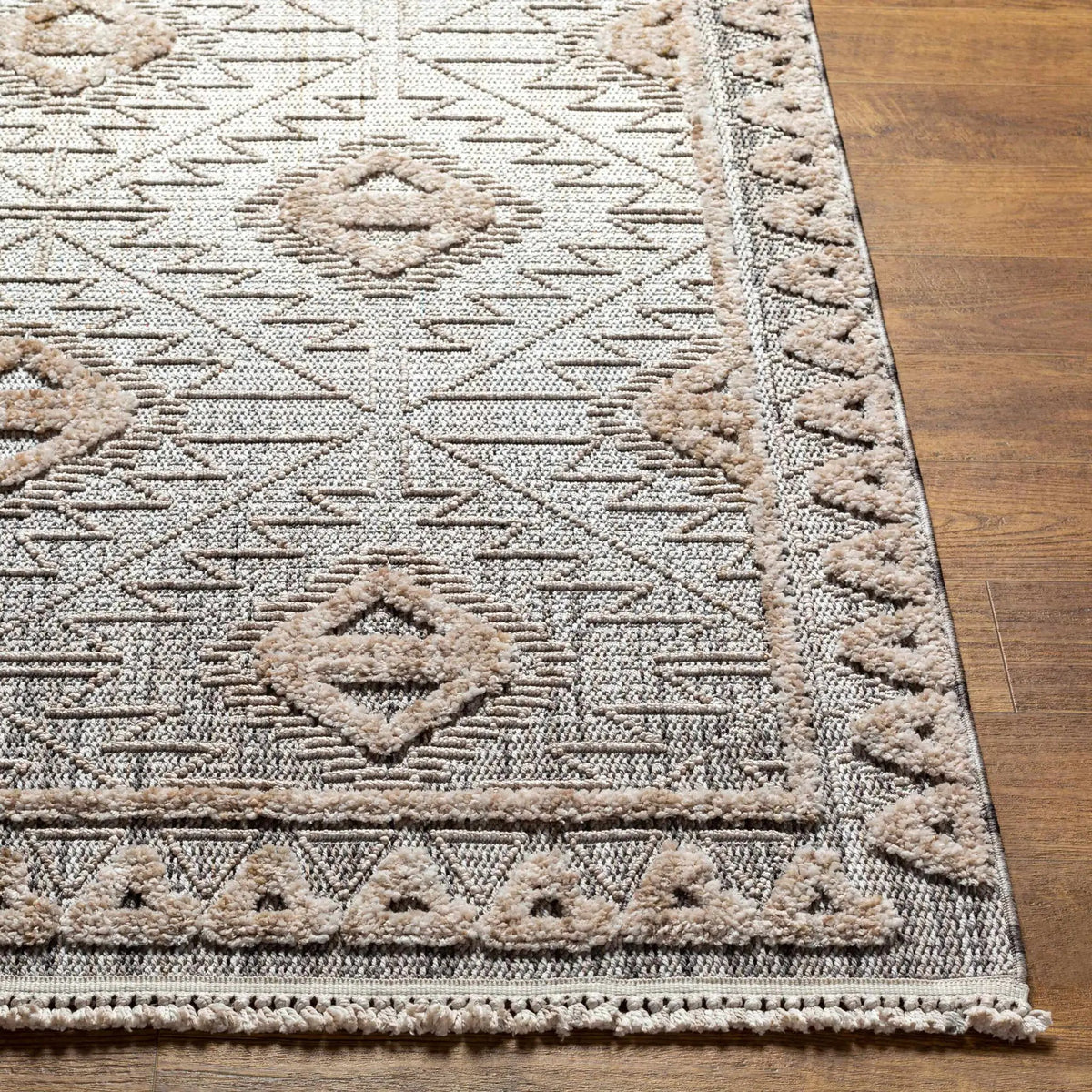 Agoo High-Low Pile Rustic Rug, photo 34 of 36