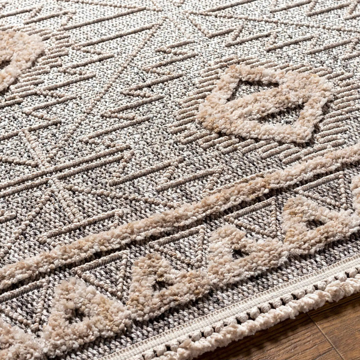 Agoo High-Low Pile Rustic Rug, photo 35 of 36